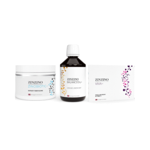 Zinzino Yenileyici Paket